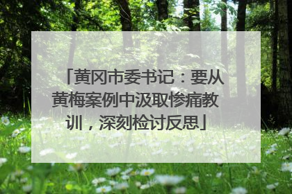 黄冈市委书记：要从黄梅案例中汲取惨痛教训，深刻检讨反思