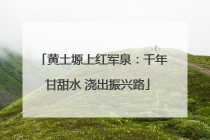 黄土塬上红军泉：千年甘甜水 浇出振兴路