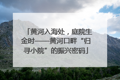 黄河入海处，庭院生金时——黄河口畔“归寻小院”的振兴密码