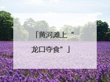 黄河滩上“龙口夺食”