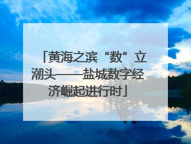 黄海之滨“数”立潮头——盐城数字经济崛起进行时