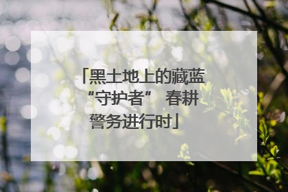 黑土地上的藏蓝“守护者” 春耕警务进行时