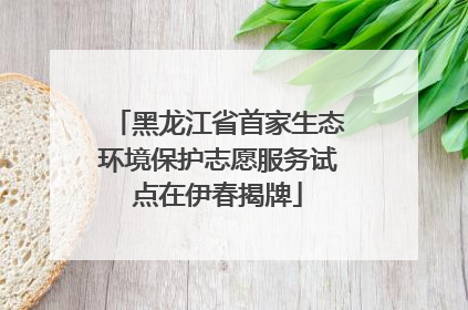 黑龙江省首家生态环境保护志愿服务试点在伊春揭牌