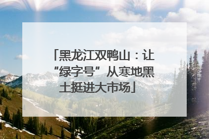 黑龙江双鸭山：让“绿字号”从寒地黑土挺进大市场