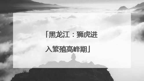 黑龙江：狮虎进入繁殖高峰期