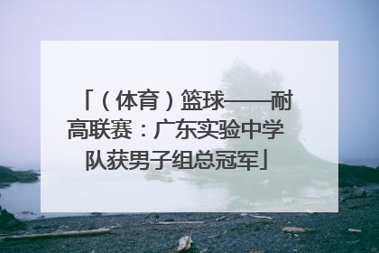 （体育）篮球——耐高联赛：广东实验中学队获男子组总冠军