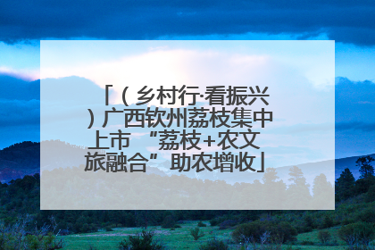 （乡村行·看振兴）广西钦州荔枝集中上市 “荔枝+农文旅融合”助农增收