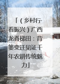 （乡村行·看振兴）广西龙脊梯田：背篓变迁见证千年农耕传统魅力
