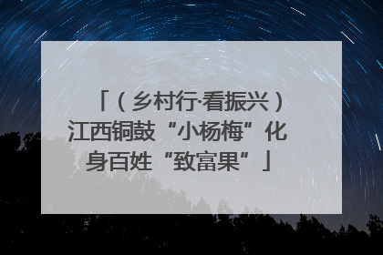 （乡村行·看振兴）江西铜鼓“小杨梅”化身百姓“致富果”
