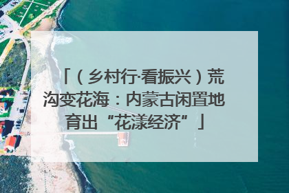 （乡村行·看振兴）荒沟变花海：内蒙古闲置地育出“花漾经济”