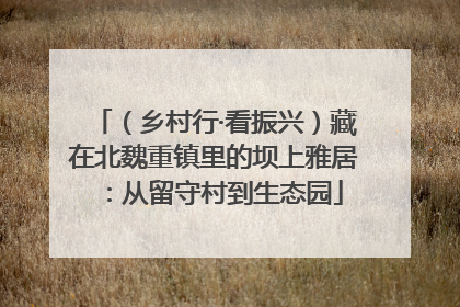 （乡村行·看振兴）藏在北魏重镇里的坝上雅居：从留守村到生态园