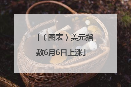 （图表）美元指数6月6日上涨