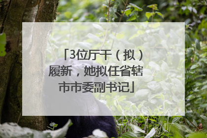 3位厅干（拟）履新，她拟任省辖市市委副书记
