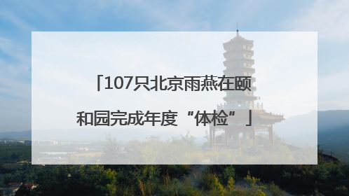 107只北京雨燕在颐和园完成年度“体检”