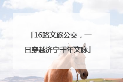 16路文旅公交，一日穿越济宁千年文脉