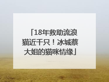 18年救助流浪猫近千只！冰城蔡大姐的猫咪情缘