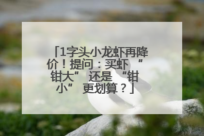 1字头小龙虾再降价！提问：买虾 “钳大” 还是 “钳小” 更划算？
