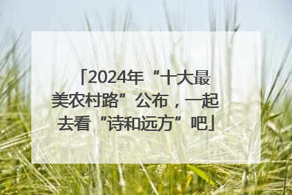 2024年“十大最美农村路”公布，一起去看“诗和远方”吧