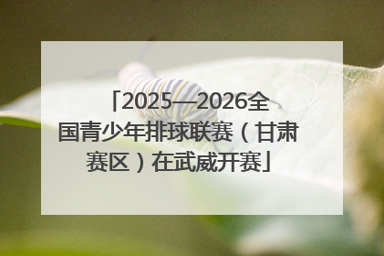 2025—2026全国青少年排球联赛（甘肃赛区）在武威开赛