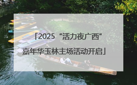 2025“活力夜广西”嘉年华玉林主场活动开启