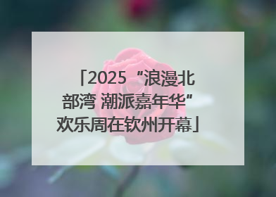 2025“浪漫北部湾 潮派嘉年华”欢乐周在钦州开幕