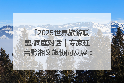 2025世界旅游联盟·洞庭对话｜专家建言黔湘文旅协同发展：聚焦产品稀缺性 深化区域经验共享