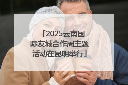 2025云南国际友城合作周主题活动在昆明举行