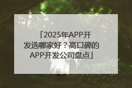 2025年APP开发选哪家好？高口碑的APP开发公司盘点