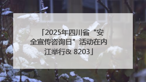 2025年四川省“安全宣传咨询日”活动在内江举行& 8203