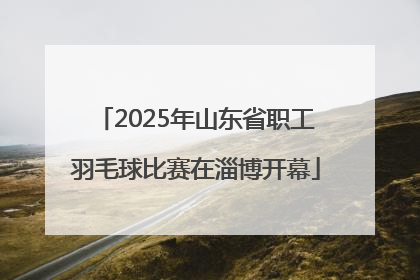 2025年山东省职工羽毛球比赛在淄博开幕
