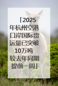 2025年杭州空港口岸国际货运量已突破10万吨 较去年同期提前一周