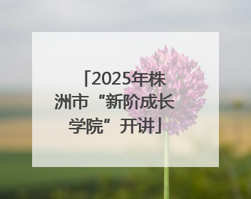 2025年株洲市“新阶成长学院”开讲