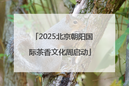 2025北京朝阳国际茶香文化周启动