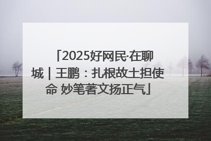 2025好网民·在聊城｜王鹏：扎根故土担使命 妙笔著文扬正气