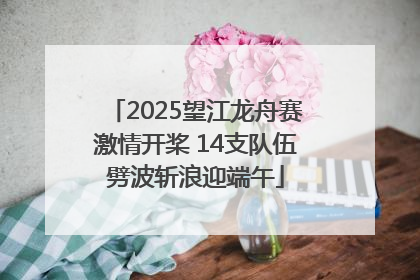 2025望江龙舟赛激情开桨 14支队伍劈波斩浪迎端午