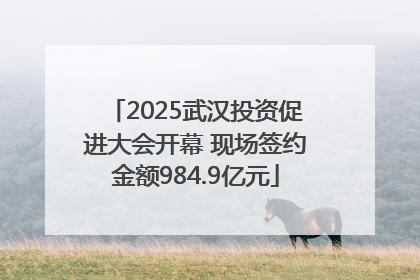 2025武汉投资促进大会开幕 现场签约金额984.9亿元