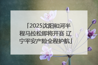 2025沈阳和河半程马拉松即将开赛 辽宁平安产险全程护航