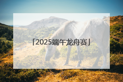 2025端午龙舟赛