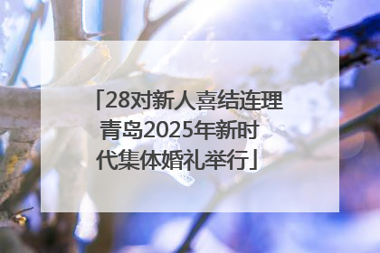 28对新人喜结连理 青岛2025年新时代集体婚礼举行