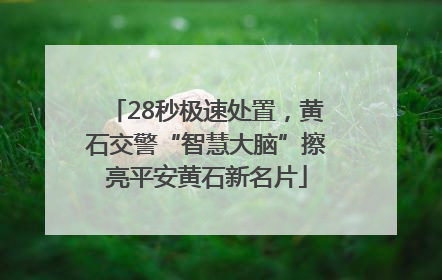 28秒极速处置，黄石交警“智慧大脑”擦亮平安黄石新名片