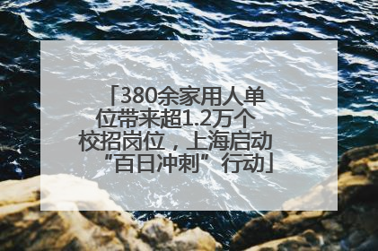 380余家用人单位带来超1.2万个校招岗位，上海启动“百日冲刺”行动