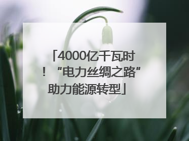 4000亿千瓦时！“电力丝绸之路”助力能源转型