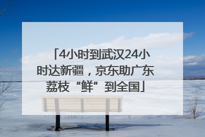 4小时到武汉24小时达新疆，京东助广东荔枝“鲜”到全国