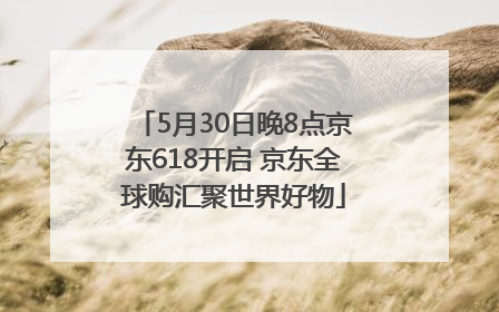 5月30日晚8点京东618开启 京东全球购汇聚世界好物