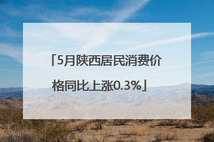 5月陕西居民消费价格同比上涨0.3%