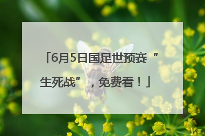 6月5日国足世预赛“生死战”，免费看！