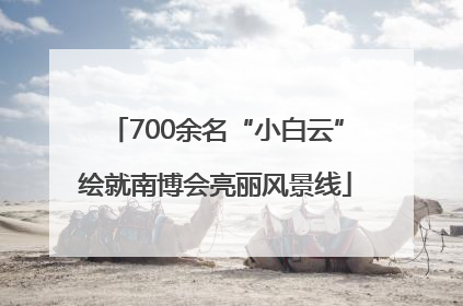 700余名“小白云”绘就南博会亮丽风景线