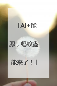 AI+能源，蚂蚁鑫能来了！