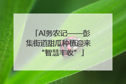 AI务农记——彭集街道甜瓜种植迎来“智慧丰收”