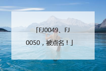 FJ0049、FJ0050，被点名！